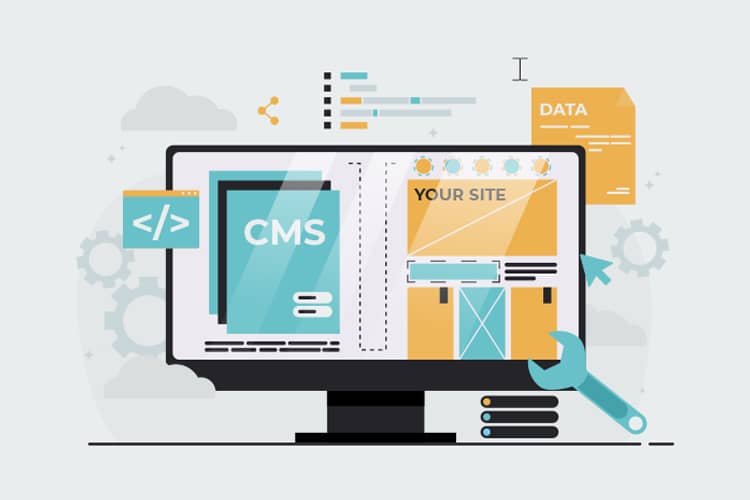 Custom Web Development